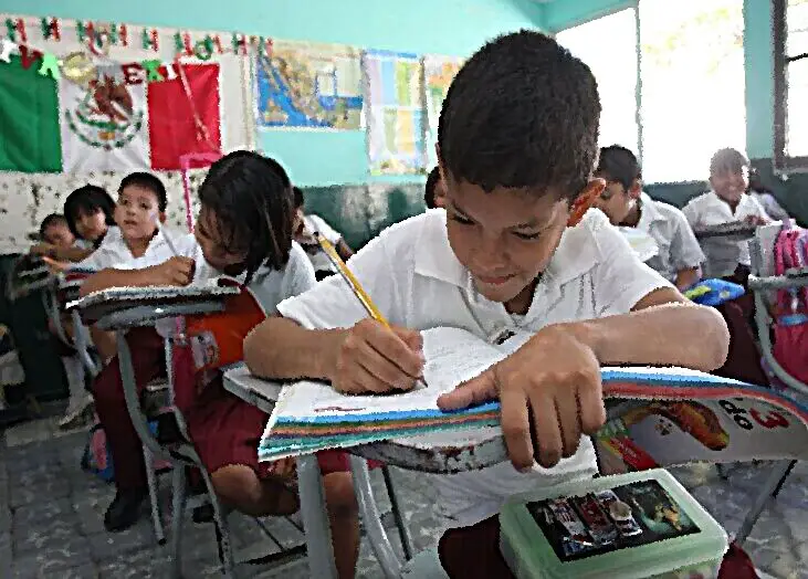 Que Es El Impuesto Para El Fomento Deportivo Y Educacional En Mexico